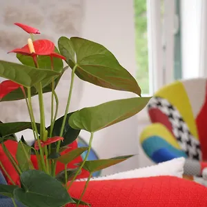 Appartement Kogo, Split
